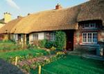 Surveys and Inspections - Thatching services